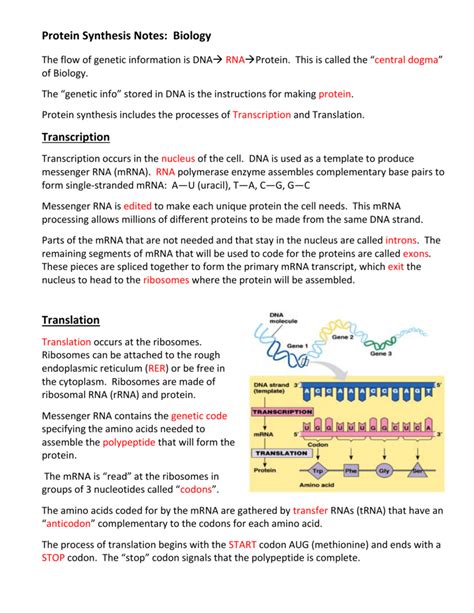 Protein Synthesis Guided Notes