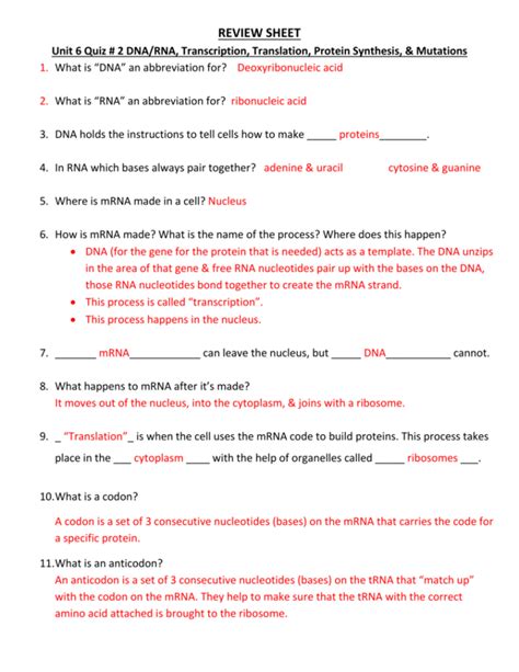 protein synthesis review worksheet/quiz