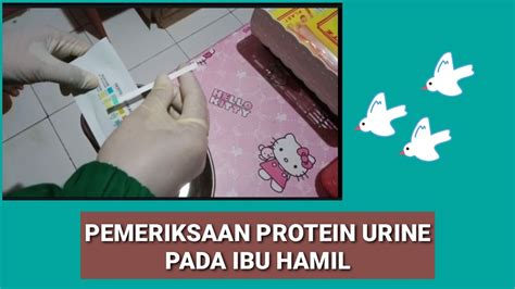 Protein Urine