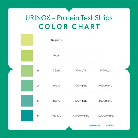 Understanding the Importance of a Protein Urine Test Today