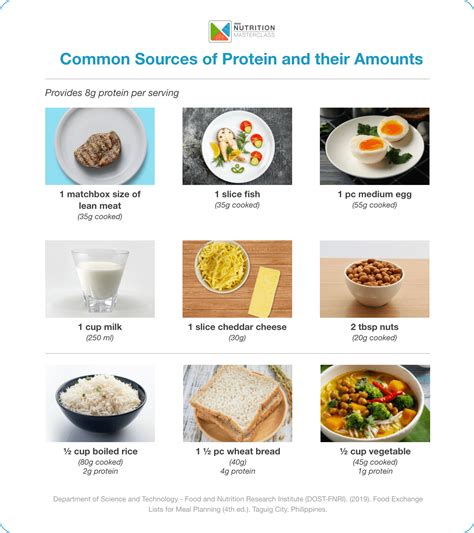 Protein Utilization Food