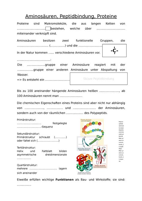 3. proteine doc