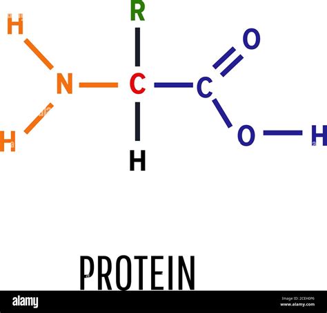 Proteins Drawing