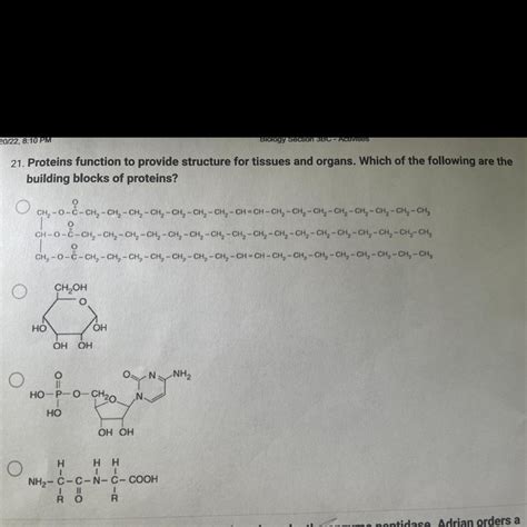 Proteins Function Brainly