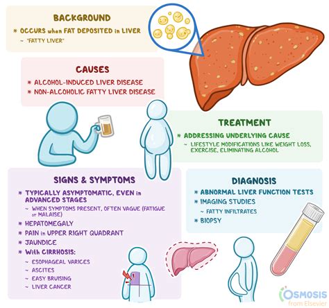 Proteolysed Liver Meaning