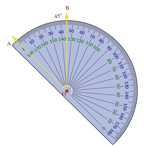 Protractor Measuring