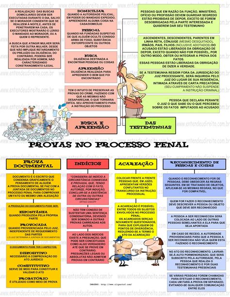 provas do processo penal