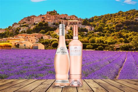Provence Rose Secrets Unveiled