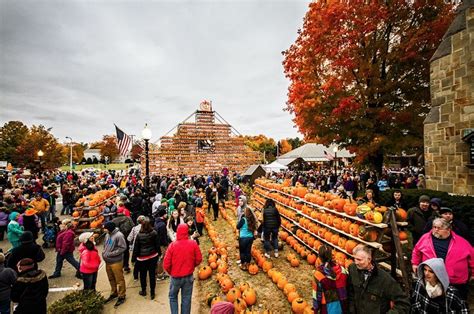Gallery Pumpkin Festival in East Providence News