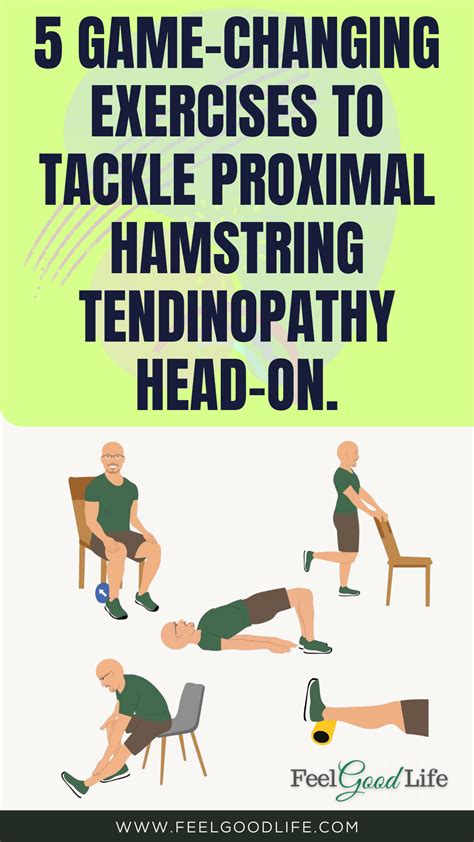 Proximal Hamstring Tendinopathy Exercises Pdf