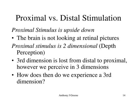 proximal vs distal stimulus