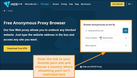 Uncovering the Truth: Proxy for Porn