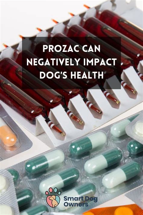 Side Effects of Prozac for Dogs Side effects, Dogs, Sides