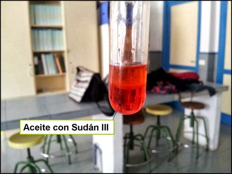 prueba de sudan iii