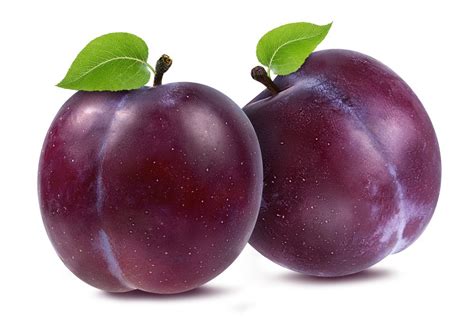 prune violette
