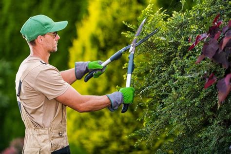 Pruner Job Definition