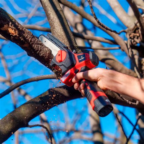 Pruning Saws Electric