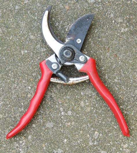 Pruning Shear Meaning