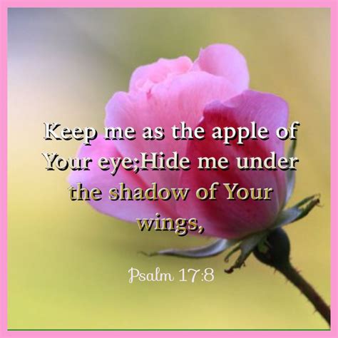 psalm 17 8 10