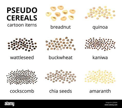Pseudo Cereals Definition