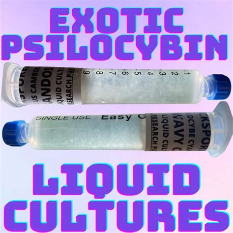 psilocybin liquid culture for sale