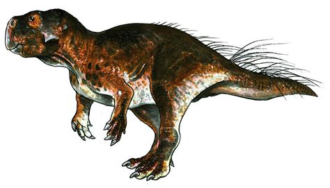 psittacosaurus lujiatunensis