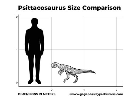 psittacosaurus size
