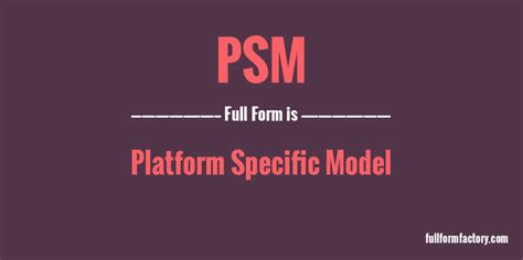 psm full form in it