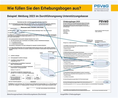 psvag erhebungsbogen