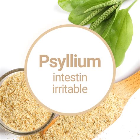Psyllium Diarrhea Reddit
