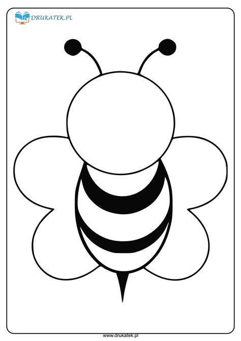 pszczoła szablon chomikuj
