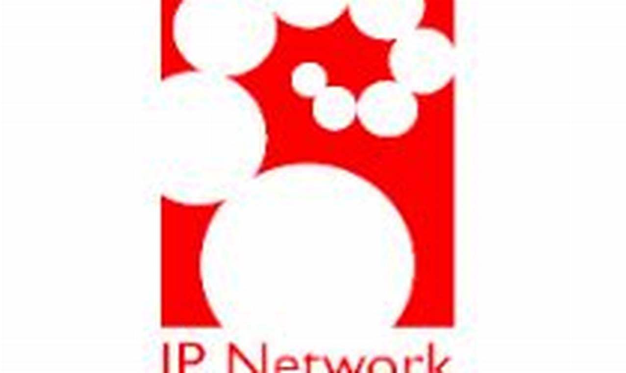 pt ip network solusindo