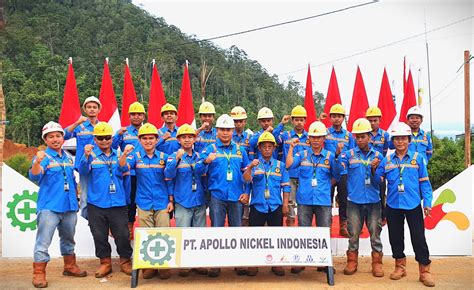 pt apollo nickel indonesia