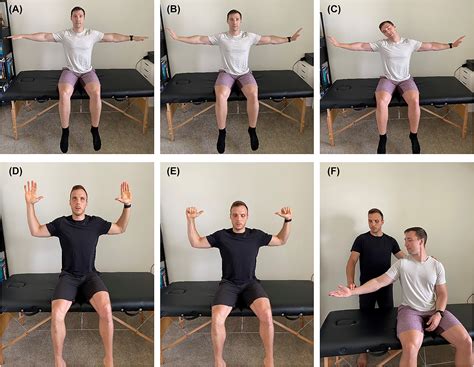 Physical Therapist Description