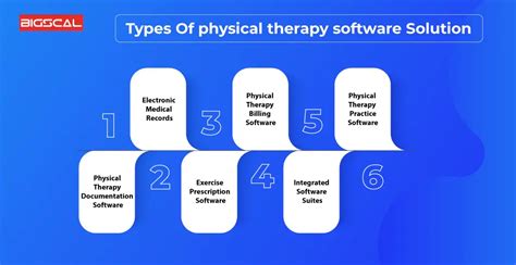 2019 Integrated Software Solutions for the PT Clinic Physical Therapy