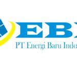 pt. energi baru indonusa