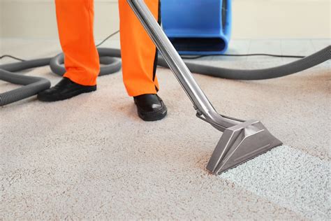 pta enterprises carpet cleaning