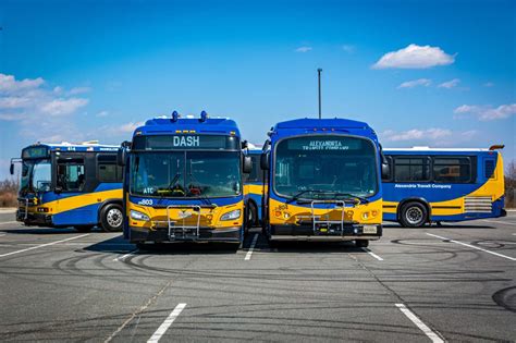 public transportation in alexandria mn