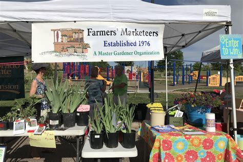 Pueblo Farmers Market: A Local Gem For Fresh Produce And More