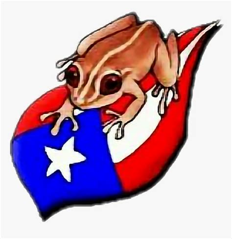 puerto rican flag with coqui png