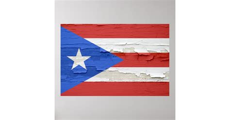 puerto rico flag paint set