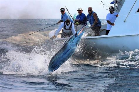 puerto rico spearfishing regulations