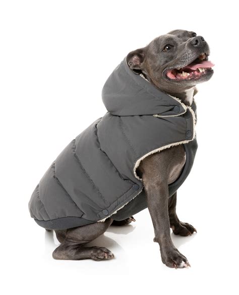Puffer Dog Jacket