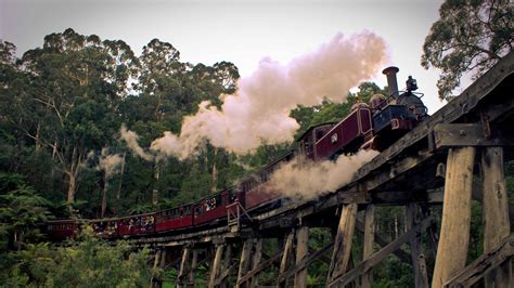 puffing billy sunset