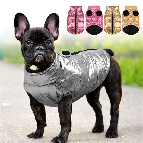 Pug Dog Jacket