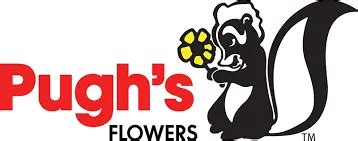 Pughs Promotional Code