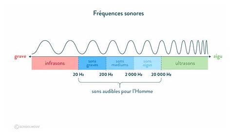 Les signaux sonores : cours 5e (et 4e, 3e) - Physique-chimie