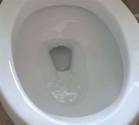 Pulire Tazza Wc