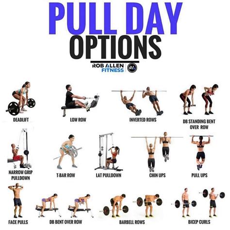 Pull Day Routine For Mass  Building A Stronger Back