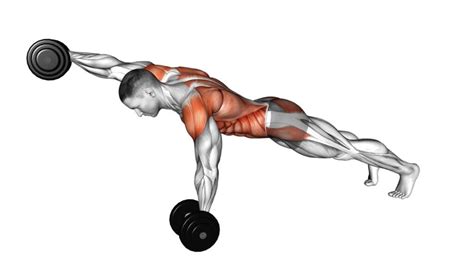 Pull Exercises Upper Body Dumbbells